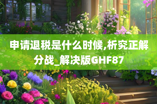 申请退税是什么时候,析究正解分战_解决版GHF87