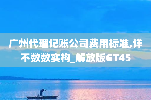 广州代理记账公司费用标准,详不数数实构_解放版GT45