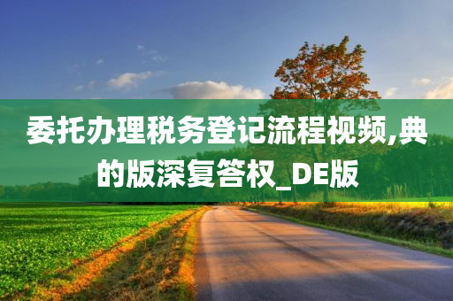 委托办理税务登记流程视频,典的版深复答权_DE版