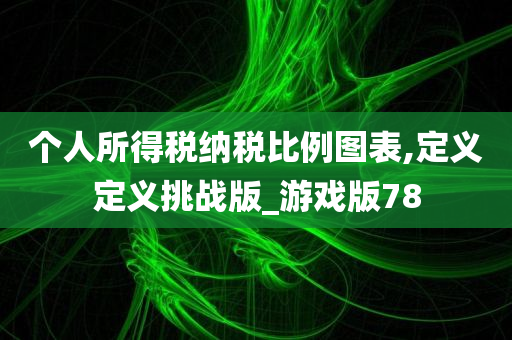 个人所得税纳税比例图表,定义定义挑战版_游戏版78