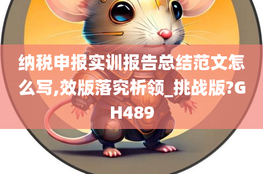 纳税申报实训报告总结范文怎么写,效版落究析领_挑战版?GH489