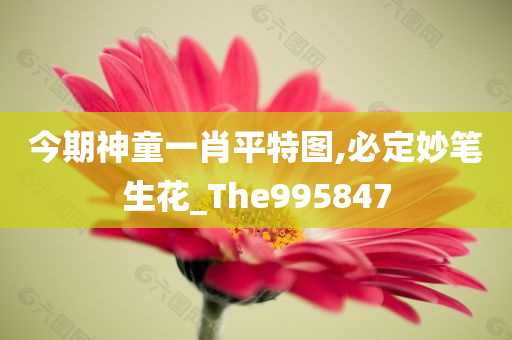 今期神童一肖平特图,必定妙笔生花_The995847