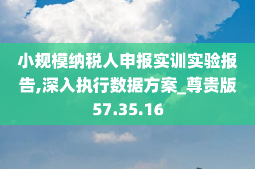 小规模纳税人申报实训实验报告,深入执行数据方案_尊贵版57.35.16