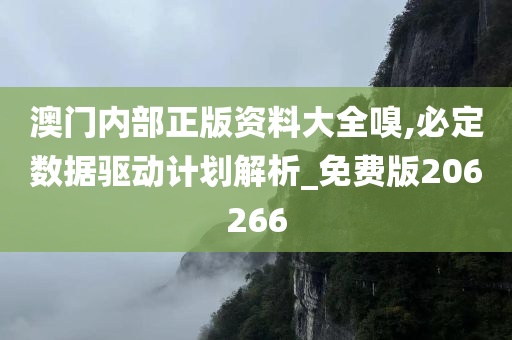 澳门内部正版资料大全嗅,必定数据驱动计划解析_免费版206266