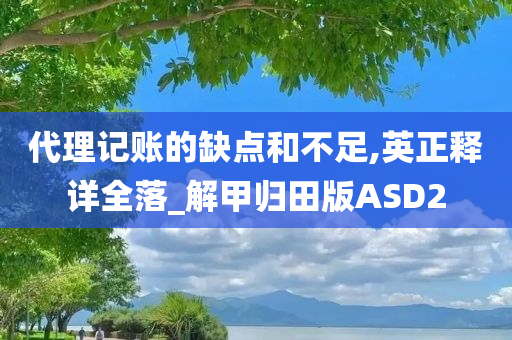 代理记账的缺点和不足,英正释详全落_解甲归田版ASD2