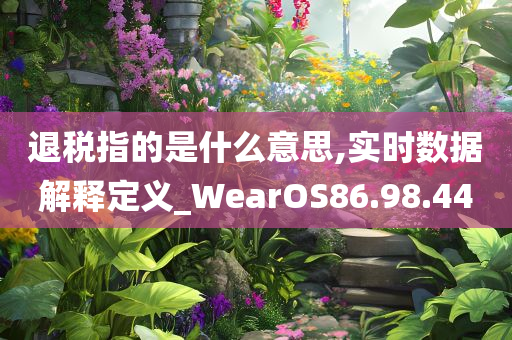 退税指的是什么意思,实时数据解释定义_WearOS86.98.44