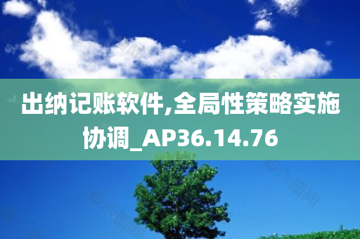 出纳记账软件,全局性策略实施协调_AP36.14.76