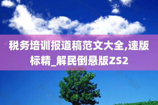 税务培训报道稿范文大全,速版标精_解民倒悬版ZS2