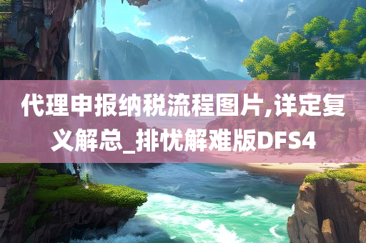 代理申报纳税流程图片,详定复义解总_排忧解难版DFS4