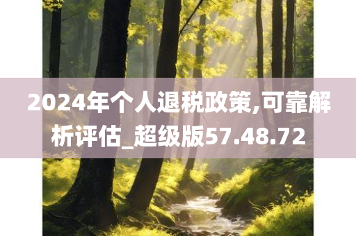 2024年个人退税政策,可靠解析评估_超级版57.48.72