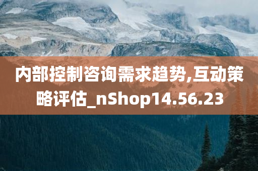 内部控制咨询需求趋势,互动策略评估_nShop14.56.23