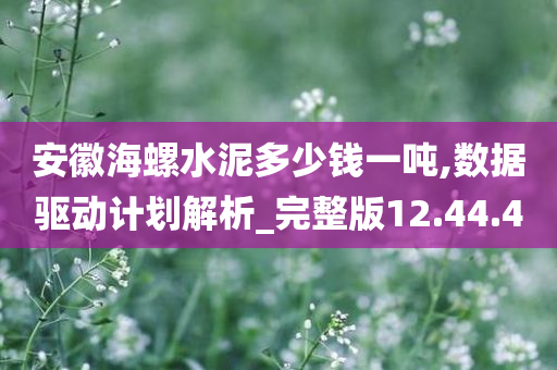 安徽海螺水泥多少钱一吨,数据驱动计划解析_完整版12.44.40