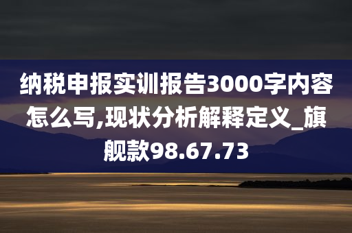 纳税申报实训报告3000字内容怎么写,现状分析解释定义_旗舰款98.67.73