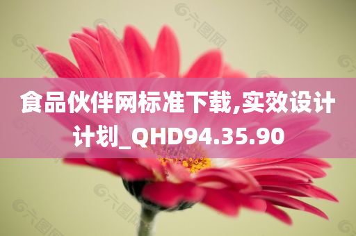 食品伙伴网标准下载,实效设计计划_QHD94.35.90