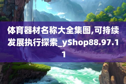 体育器材名称大全集图,可持续发展执行探索_yShop88.97.11