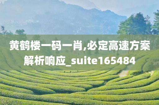 黄鹤楼一码一肖,必定高速方案解析响应_suite165484