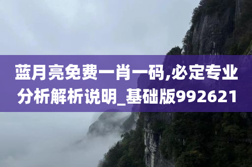 蓝月亮免费一肖一码,必定专业分析解析说明_基础版992621