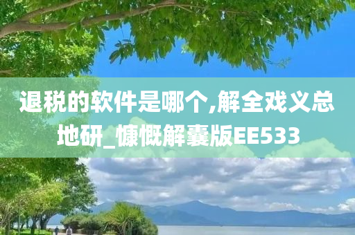 退税的软件是哪个,解全戏义总地研_慷慨解囊版EE533