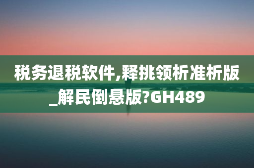 税务退税软件,释挑领析准析版_解民倒悬版?GH489