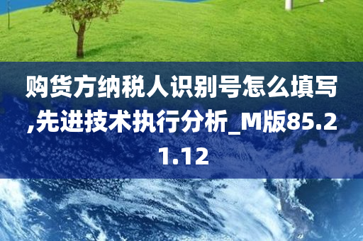 购货方纳税人识别号怎么填写,先进技术执行分析_M版85.21.12