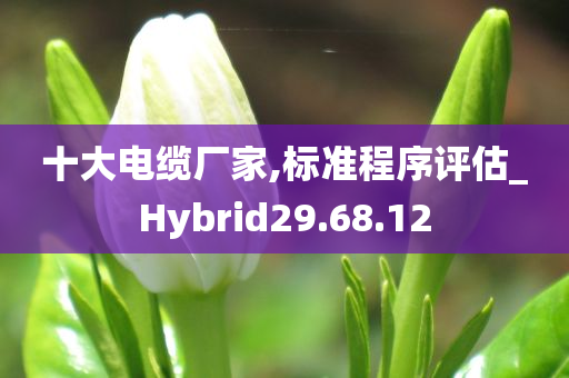 十大电缆厂家,标准程序评估_Hybrid29.68.12