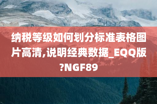 纳税等级如何划分标准表格图片高清,说明经典数据_EQQ版?NGF89