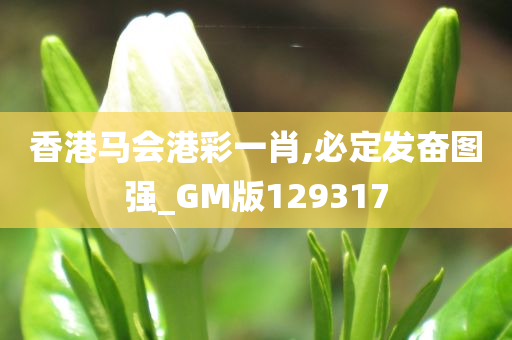 香港马会港彩一肖,必定发奋图强_GM版129317