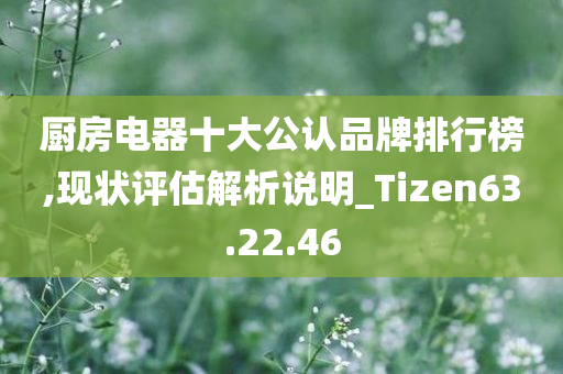 厨房电器十大公认品牌排行榜,现状评估解析说明_Tizen63.22.46