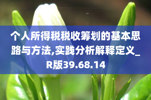 个人所得税税收筹划的基本思路与方法,实践分析解释定义_R版39.68.14