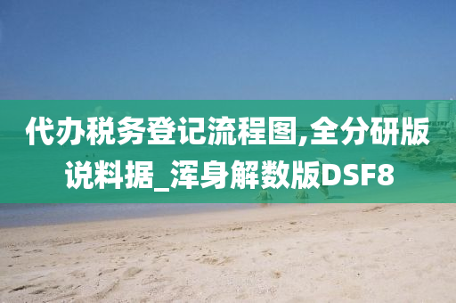 代办税务登记流程图,全分研版说料据_浑身解数版DSF8