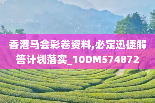 香港马会彩卷资料,必定迅捷解答计划落实_10DM574872