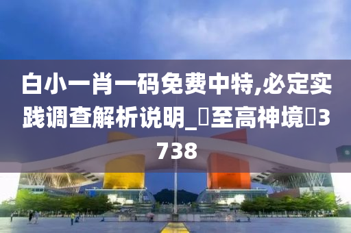 白小一肖一码免费中特,必定实践调查解析说明_‌至高神境‌3738