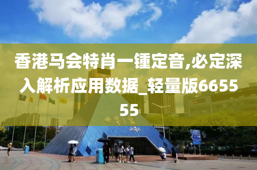 香港马会特肖一锺定音,必定深入解析应用数据_轻量版665555