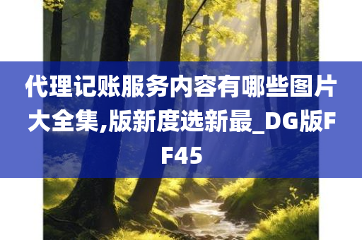 代理记账服务内容有哪些图片大全集,版新度选新最_DG版FF45