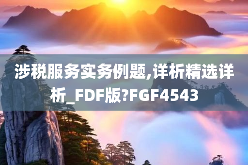 涉税服务实务例题,详析精选详析_FDF版?FGF4543