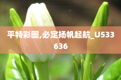 平特彩图,必定扬帆起航_U533636