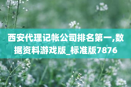 西安代理记帐公司排名第一,数据资料游戏版_标准版7876