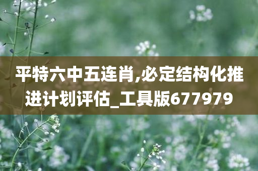 平特六中五连肖,必定结构化推进计划评估_工具版677979