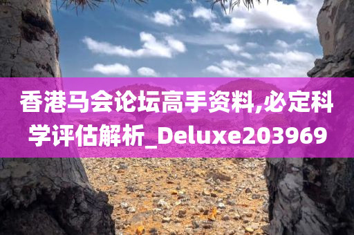 香港马会论坛高手资料,必定科学评估解析_Deluxe203969