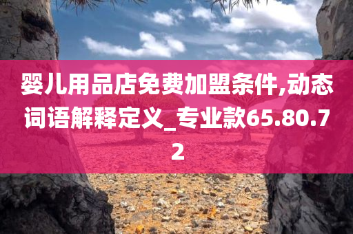 婴儿用品店免费加盟条件,动态词语解释定义_专业款65.80.72