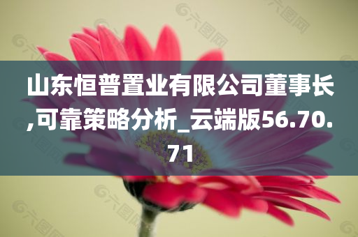 山东恒普置业有限公司董事长,可靠策略分析_云端版56.70.71