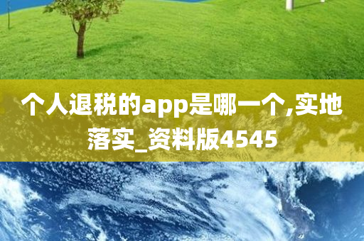 个人退税的app是哪一个,实地落实_资料版4545