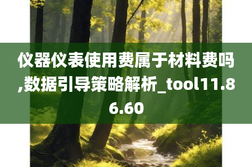 仪器仪表使用费属于材料费吗,数据引导策略解析_tool11.86.60