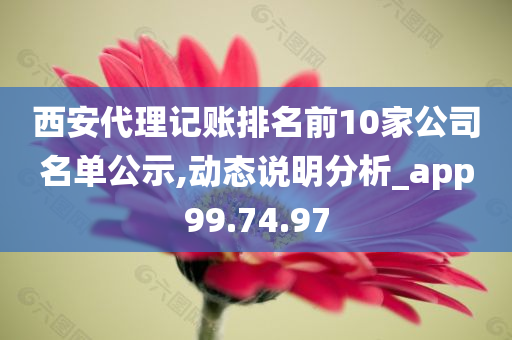 西安代理记账排名前10家公司名单公示,动态说明分析_app99.74.97