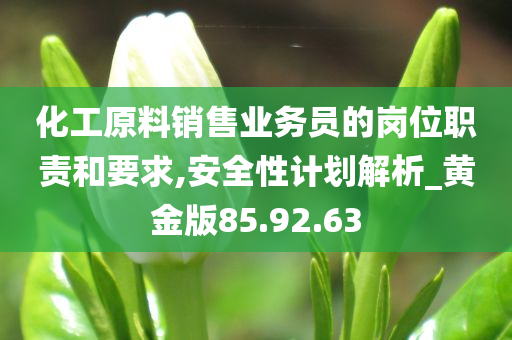 化工原料销售业务员的岗位职责和要求,安全性计划解析_黄金版85.92.63