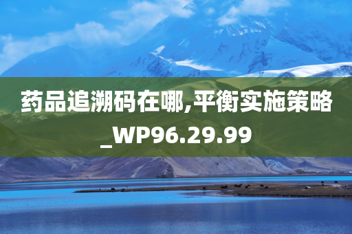 药品追溯码在哪,平衡实施策略_WP96.29.99