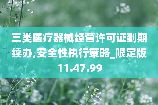 三类医疗器械经营许可证到期续办,安全性执行策略_限定版11.47.99