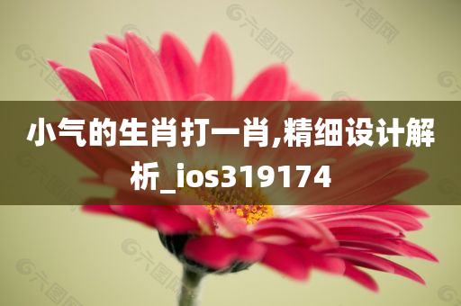 小气的生肖打一肖,精细设计解析_ios319174