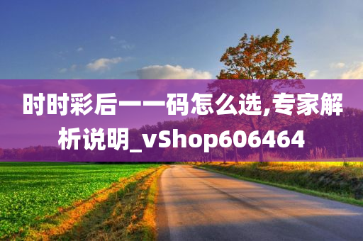 时时彩后一一码怎么选,专家解析说明_vShop606464