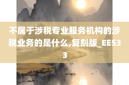 不属于涉税专业服务机构的涉税业务的是什么,复刻版_EE533